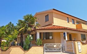 Apartment Rov 894